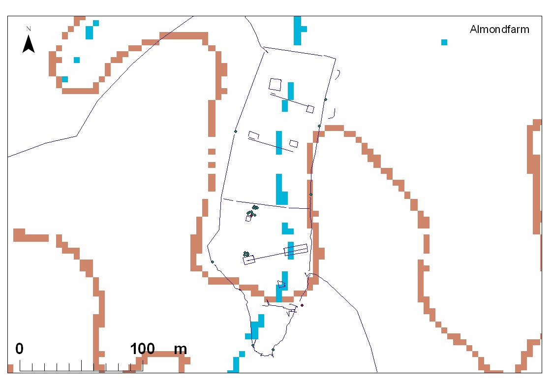 This is a map of an almond farm near Nitzana, created using GPS as part of the ongoing educational activities with the local schools there.  The Almond Farm was excavated during the 1980's in the frame of Tel Nitzana excavations on behalf of the Jewish Agency and Ben Gurion University. The Almond Farm is an ancient runoff farm from the 6-8th Centuries C. E. and the name is given since there is an old almond tree planted there by the Bedouins several decades ago. The tree is evidence of the continued functioning of the ancient farm in terms of water collection. The tree was studied recently by Julie Goldenetz from the University of Arizona in early 2006.