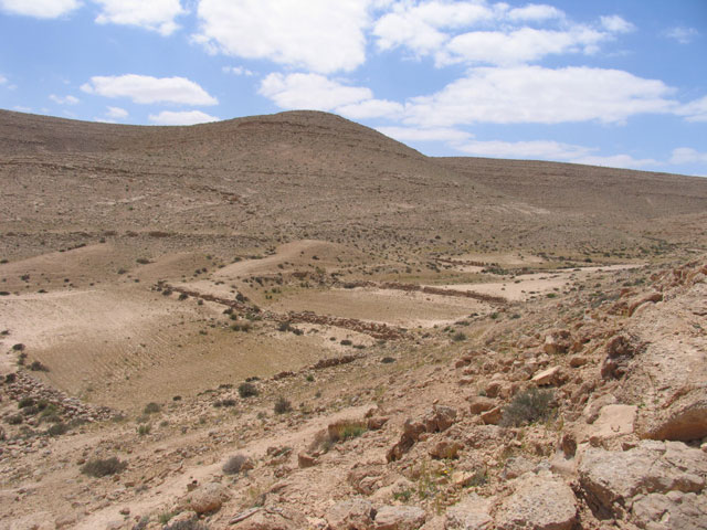 Terraces of an ancient farm at Avdat, March 2005.  Avdat is an important Nabatean and Byzantine site in the Negev surrounded by ancient desert farms from the 5th to the 8th centuries CE.  The area was surveyed and excavated by the environmental school of Sde Boker.  The 2005 activities included surveying and excavation of one farm house by the environmental school of Sde Boker, located 15 kilometers north of Avdat.