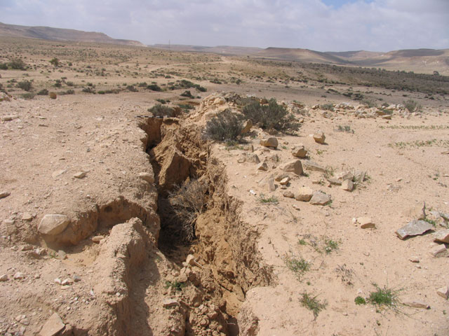 New crack of erosion of ancient terrace from flooding at Avdat, March 2005.  Avdat is an important Nabatean and Byzantine site in the Negev surrounded by ancient desert farms from the 5th to the 8th centuries CE.  The area was surveyed and excavated by the environmental school of Sde Boker.  The 2005 activities included surveying and excavation of one farm house by the environmental school of Sde Boker, located 15 kilometers north of Avdat.