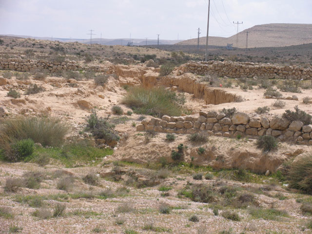 More terraces in the excavated farm at Avdat, March 2005. Avdat is an important Nabatean and Byzantine site in the Negev surrounded by ancient desert farms from the 5th to the 8th centuries CE.  The area was surveyed and excavated by the environmental school of Sde Boker.  The 2005 activities included surveying and excavation of one farm house by the environmental school of Sde Boker, located 15 kilometers north of Avdat.