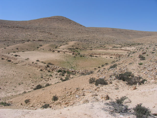 More terraces at Avdat, March 2005. Avdat is an important Nabatean and Byzantine site in the Negev surrounded by ancient desert farms from the 5th to the 8th centuries CE.  The area was surveyed and excavated by the environmental school of Sde Boker.  The 2005 activities included surveying and excavation of one farm house by the environmental school of Sde Boker, located 15 kilometers north of Avdat.