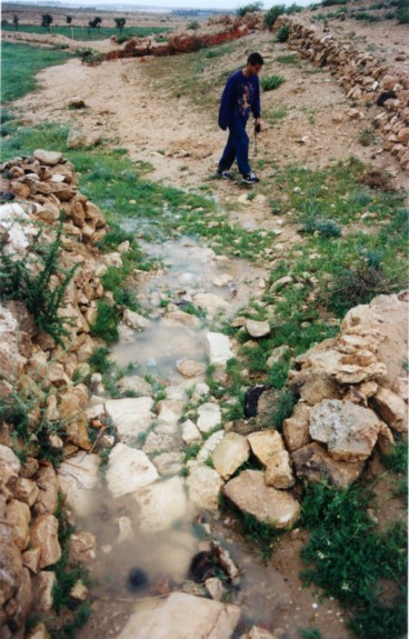 Maintainence of the Restored Byzantine Farm at Nitzana: Runoff rainwater directed by channels to the terraces. (Photo provided courtesy of Tom Amit.)