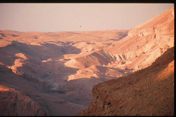 Mitzpe Ramon region, Makhteshim Country in the Negev desert, south of Avdat. Photograph provided courtesy of Moshe Kotzen.