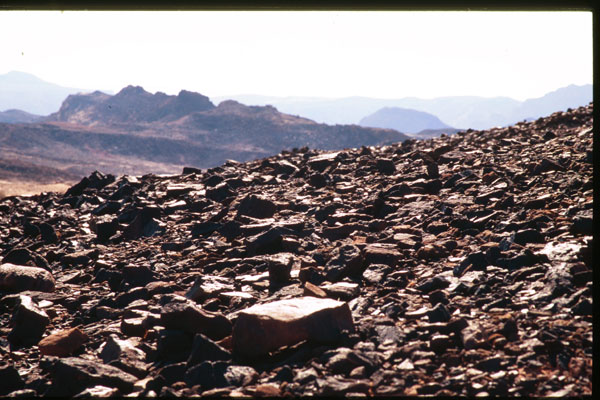 Mitzpe Ramon region, Makhteshim Country in the Negev desert, south of Avdat. Photograph provided courtesy of Moshe Kotzen.