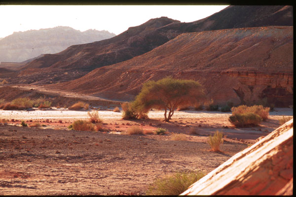 Mitzpe Ramon region, Makhteshim Country in the Negev desert, south of Avdat. Photograph provided courtesy of Moshe Kotzen.