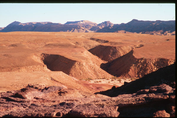 Mitzpe Ramon region, Makhteshim Country in the Negev desert, south of Avdat. Photograph provided courtesy of Moshe Kotzen.