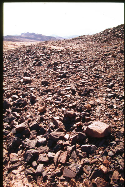 Mitzpe Ramon region, Makhteshim Country in the Negev desert, south of Avdat. Photograph provided courtesy of Moshe Kotzen.