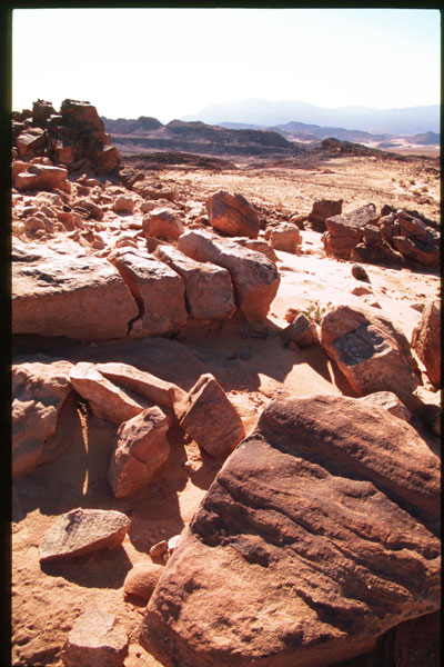 Mitzpe Ramon region, Makhteshim Country in the Negev desert, south of Avdat. Photograph provided courtesy of Moshe Kotzen.