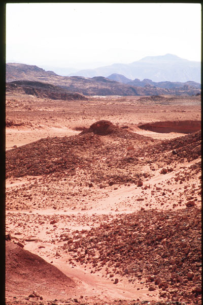 Mitzpe Ramon region, Makhteshim Country in the Negev desert, south of Avdat. Photograph provided courtesy of Moshe Kotzen.