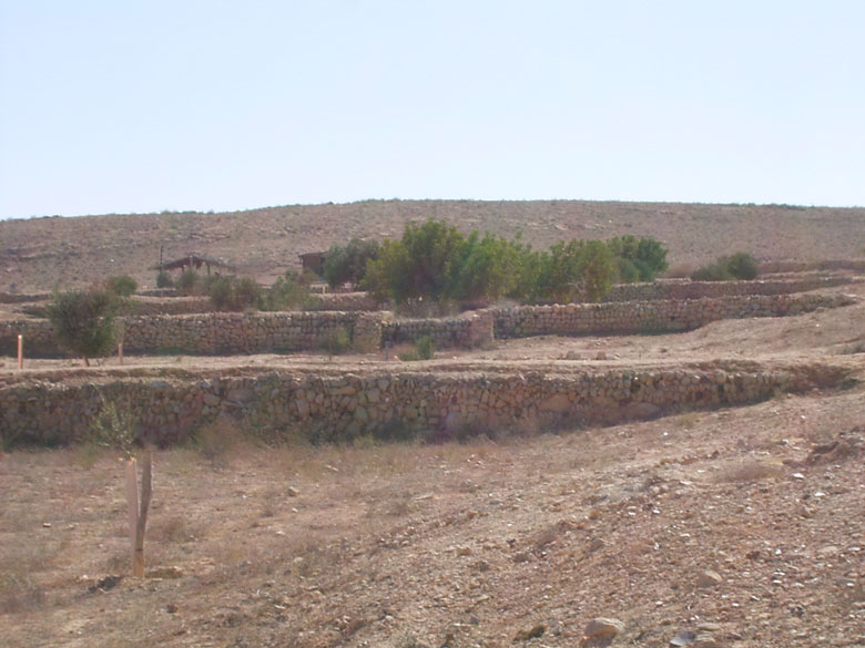 These ancient agricultural terraces at Nitzana provide the background for study and field projects.