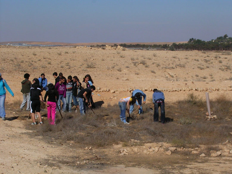 Nitzana farm maintenance project with students includes overturning of the soil, getting rid of bushes and brush, cleaning up the area, and planting.  These kids at Nitzana High School are having fun, while taking care of their historic environment.