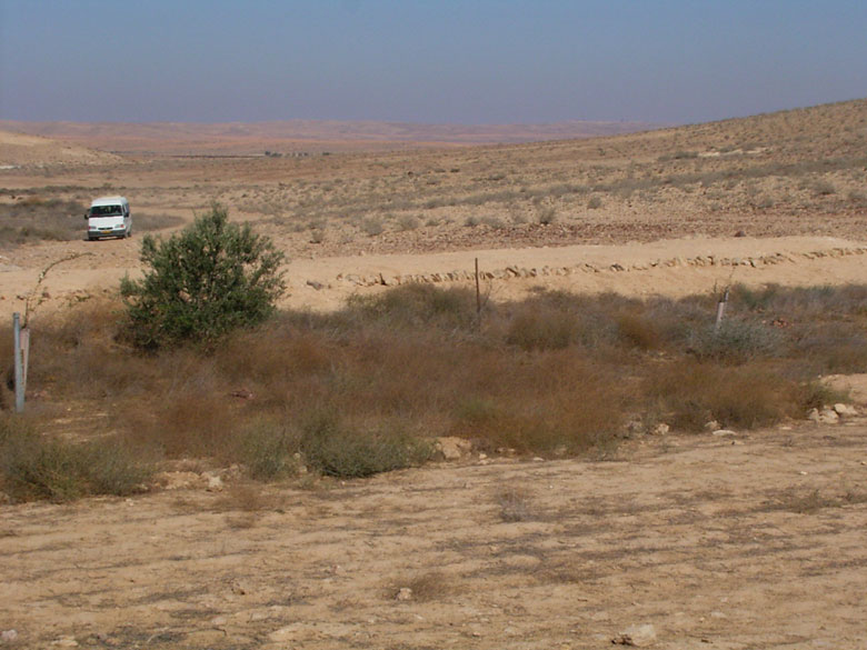 A van brings the group of students out to Nitzana ancient agricultural terraces for a school project.