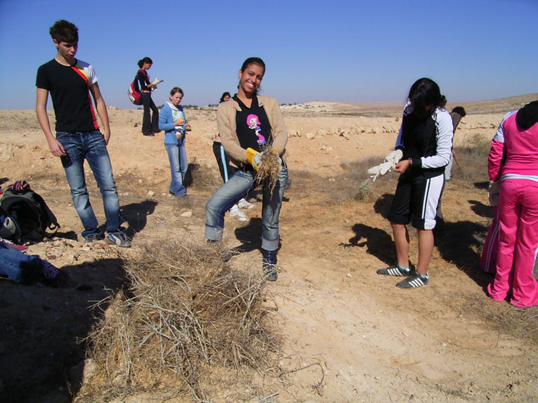 Nitzana farm maintenance project with students includes overturning of the soil, getting rid of bushes and brush, cleaning up the area, and planting.  These kids at Nitzana High School are having fun, while taking care of their historic environment.