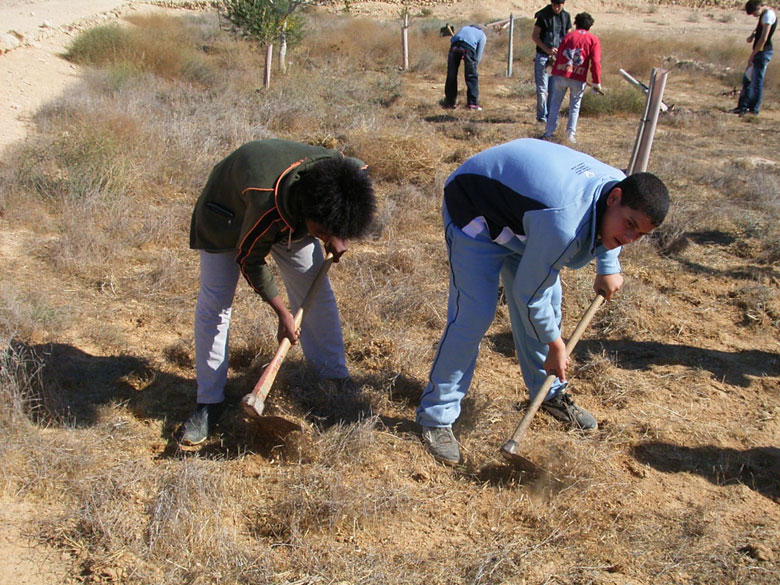 Nitzana farm maintenance project with students includes overturning of the soil, getting rid of bushes and brush, cleaning up the area, and planting.  These kids at Nitzana High School are having fun, while taking care of their historic environment.