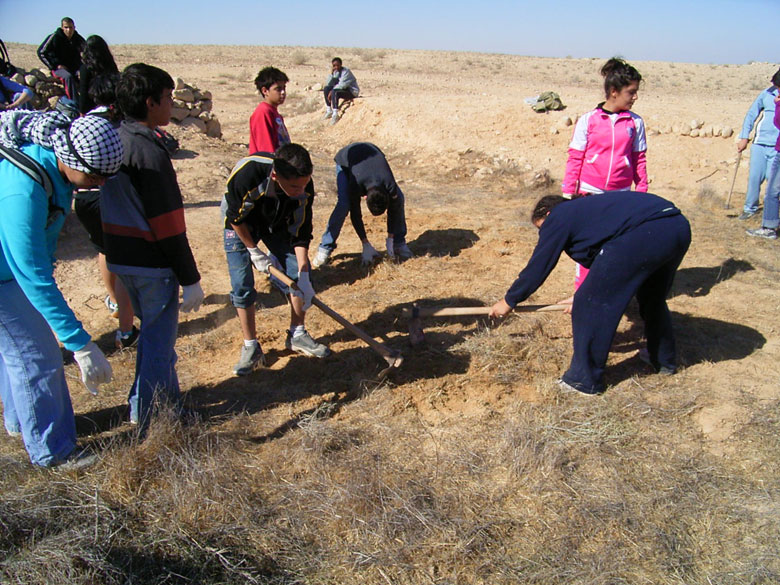 Nitzana farm maintenance project with students includes overturning of the soil, getting rid of bushes and brush, cleaning up the area, and planting.  These students dig holes in preparation for planting new trees.