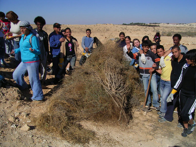 Nitzana farm maintenance project with students includes overturning of the soil, getting rid of bushes and brush, cleaning up the area, and planting.  These kids at Nitzana High School are having fun, while taking care of their historic environment.