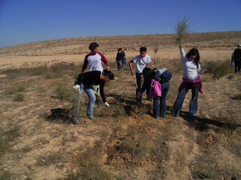 Nitzana farm maintenance project with students includes overturning of the soil, getting rid of bushes and brush, cleaning up the area, and planting.  These kids at Nitzana High School are having fun, while taking care of their historic environment.