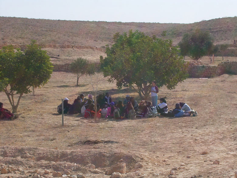 These high school students learn in the field of the ancient agricultural terraces at Nitzana which has been restored with young trees irrigated in the ancient way.