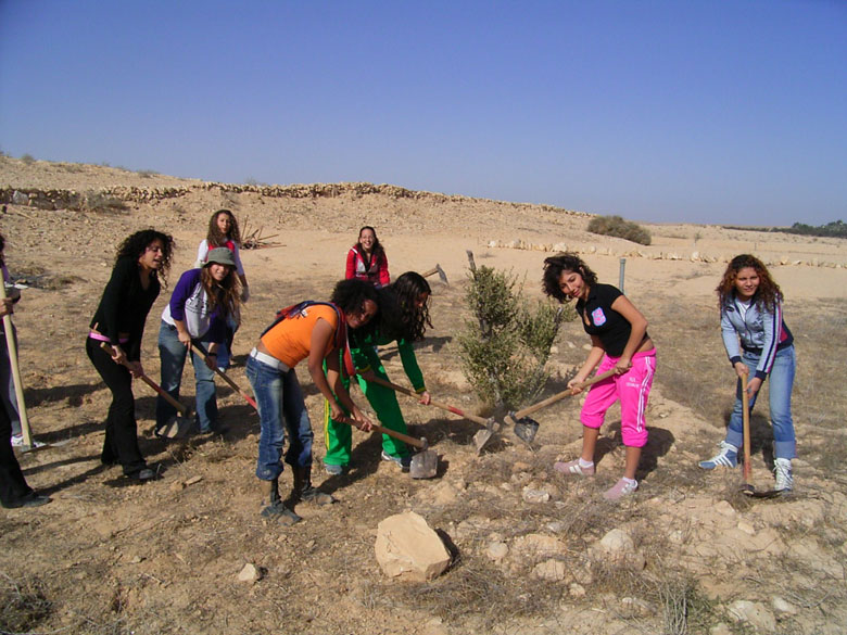 These high school students learn in the field of the ancient agricultural terraces at Nitzana while having fun, where the ground is being prepared to plant new trees. High school students and staff help to landscape the trees, take care of them, and prune them.  