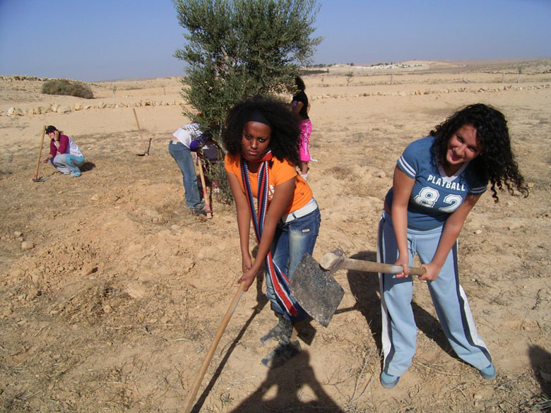 These high school students learn in the field of the ancient agricultural terraces at Nitzana while having fun, where the ground is being prepared to plant new trees. High school students and staff help to landscape the trees, take care of them, and prune them.