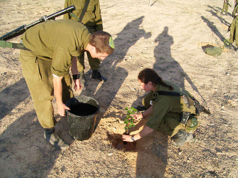 Israeli IDF soldiers serving in the desert on duty in the Negev, help to rejuvenate the Negev ancient agricultural installations, joining staff and high school students at Nitzana.  This young woman and man work together to plant a new tree in the desert.