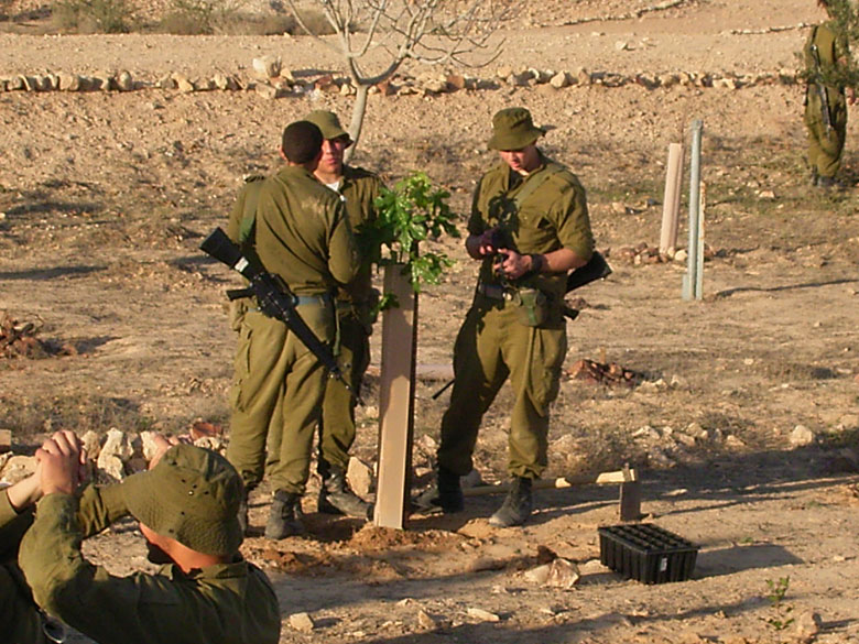 Israeli IDF soldiers serving in the desert on duty in the Negev, help to rejuvenate the Negev ancient agricultural installations, joining staff and high school students at Nitzana.  These soldiers plant new trees in the desert.