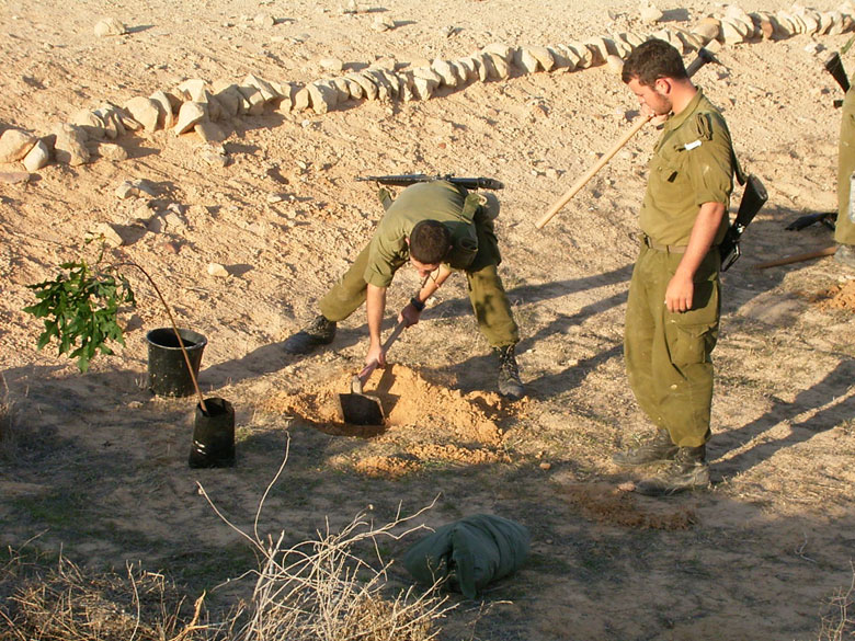 Israeli IDF soldiers serving in the desert on duty in the Negev, help to rejuvenate the Negev ancient agricultural installations, joining staff and high school students at Nitzana.  These young men work together to plant a new tree in the desert on the edge of an ancient terrace.