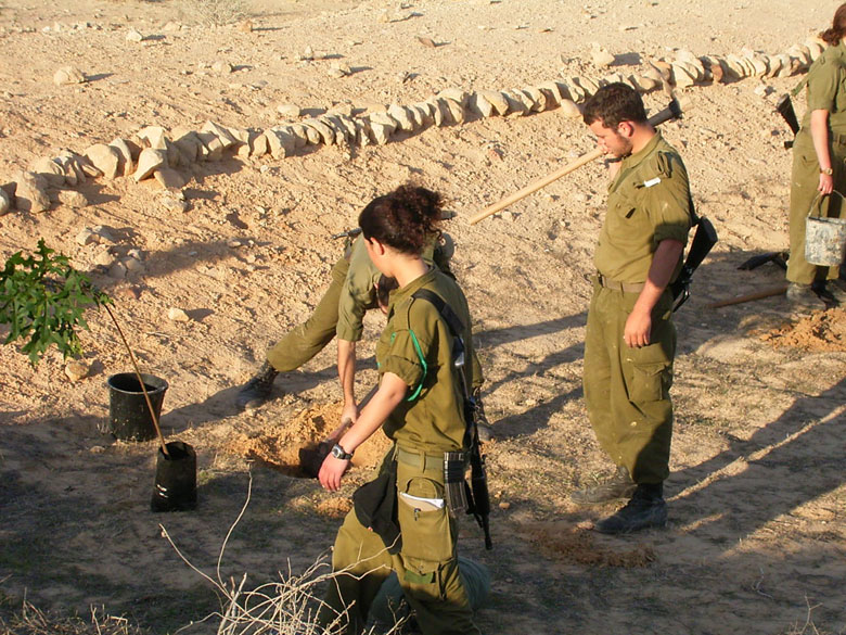 Israeli IDF soldiers serving in the desert on duty in the Negev, help to rejuvenate the Negev ancient agricultural installations, joining staff and high school students at Nitzana.  These young people work together to plant a new tree in the desert on the edge of an ancient terrace.