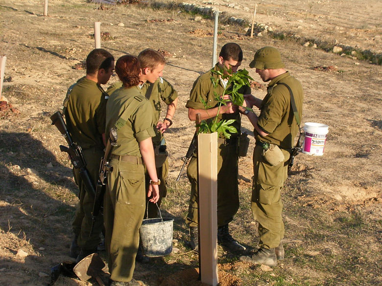 Israeli IDF soldiers serving in the desert on duty in the Negev, help to rejuvenate the Negev ancient agricultural installations, joining staff and high school students at Nitzana.  These soldiers plant new trees in the desert.