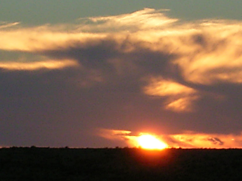 Sunset at Nitzana after a hard day of work planting trees inthe desert near an ancient agricultural desert.