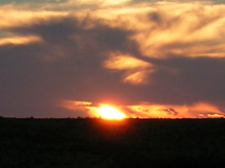 Sunset at Nitzana after a hard day of work planting trees inthe desert near an ancient agricultural desert.