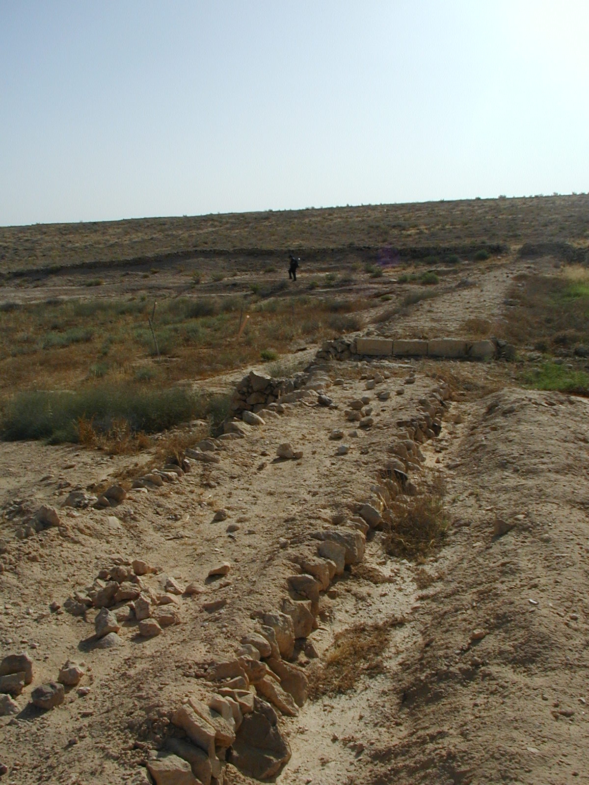 Nitzana Archaeological Survey: Four meter wide wall terracing a wadi.