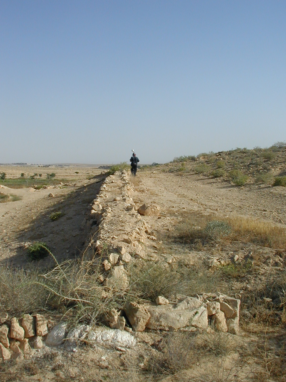 Nitzana Archaeological Survey: Wall surrounding a terraced wadi.