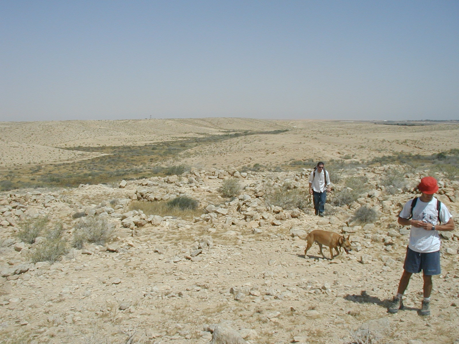 Nitzana Archaeological Survey: Ruins of a farmhouse from the Early Islamic Period (7-8th Centuries C. E.). Notice the terraced wadi marked by the green line of bushes. 