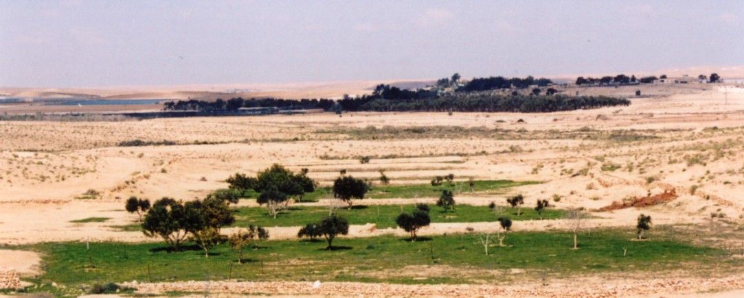 A farm from the Byzantine Period (5-7th Century C. E.) at Nitzana, restored by the Jewish National Fund (KKL). A fruit plantation exploits the agricultural soil in the restored farm. The upper right is the Nitzana education center. The upper left is a lake fed by water floods in the area, planned by the Jewish National Fund. (Photo provided courtesy of Tom Amit.)