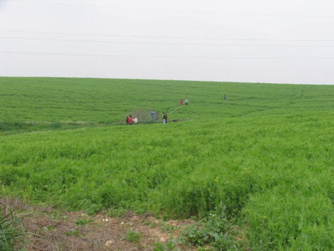 General area of the Shuval site in early spring. Located 30 kilometers north of Beer Sheva, there is an environmental school Meevoot Ha'Negev. The county school is located in the kibbutz serving the whole community with a strong emphasis on the environment. This activity took place at an ancient ruin, an Ottoman farm house located near a Byzantine ruin. The ancient remains include the ruin of the ancient farm house and a water cistern.