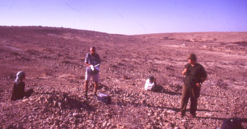 Excavating Tuleilat el Anab ("grape mounds" in Arabic) at Nitzana: excavators study this enigmatic feature.