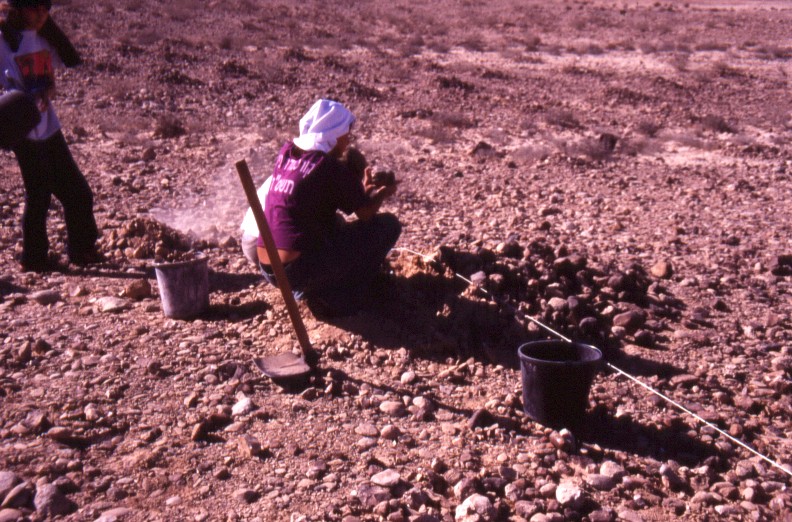 Excavating Tuleilat el Anab ("grape mounds" in Arabic) at Nitzana: Cutting through one of the mounds.