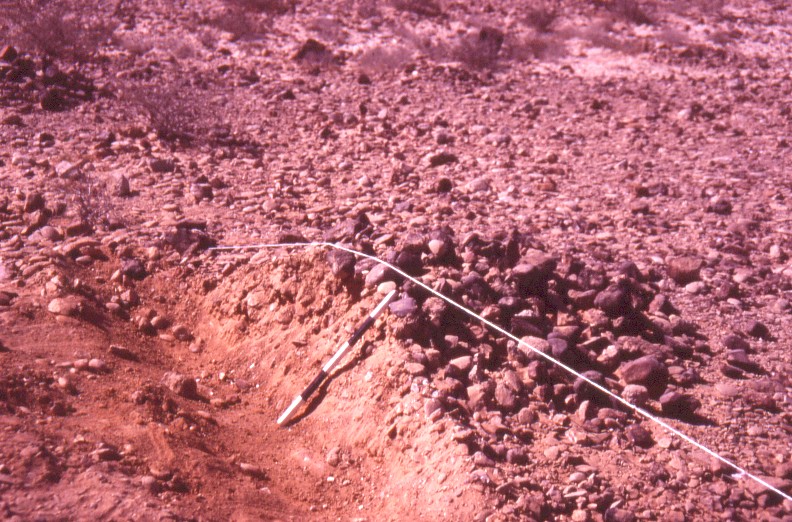 Excavating Tuleilat el Anab ("grape mounds" in Arabic) at Nitzana: Archaeological section in one of the mounds.