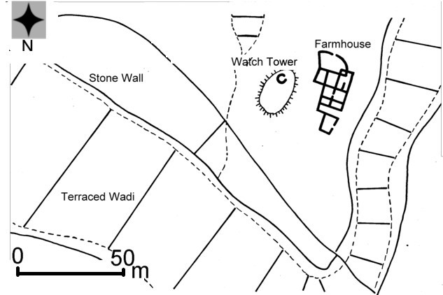 An enormous number of agricultural installations have been found in association with the agricultural systems, including channels, used to harvest runoff rain water from mountain slopes, as shown in this diagram. The system of channels, directing runoff rainwater from a large area to the terraced wadis, constitutes the solution to the limitation caused by the poor rainfall. The total amount of rainfall channeled to the wadis is about 400 mm, about five times more than the general amount of rainfall - although this did not solve the problem of drought and the unstable rainfall regime.