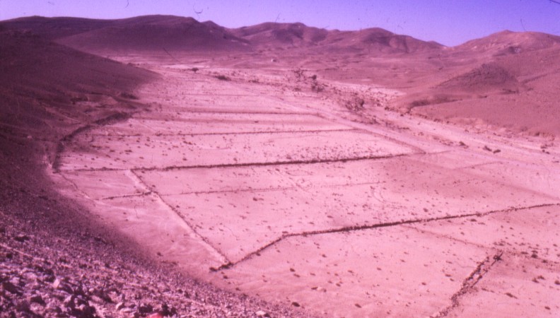 Despite the environmental constraints, the entire area of the Negev has an abundance of remnants from ancient desert agriculture, which are a dominant element in the landscape. 