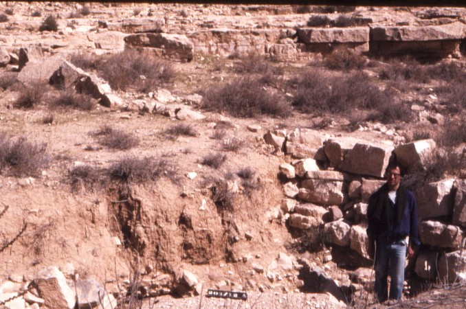 Several thousand km of wadis terraced by stone walls (10-100 m. long and up to 2 m. high) accumulate soil appropriate for agricultural cultivation. The total length of the terraced wadis in the Negev Highlands alone - not including the areas that were recently discovered in the Beersheva Valley - is estimated at several thousand km. and the area of the soil that has accumulated there is estimated at 350,000 dunam. The terraced wadis constitute the solution for the limitation of agriculture caused by the scarcity of cultivatable land.